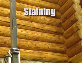  Washington, North Carolina Log Home Staining
